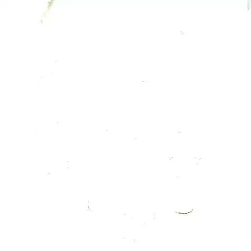 skull, ocean, trees, raven, tropical, Puerto Rico, 313 tattoo design idea