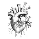 anatomical heart with Lucy Ruby Isla tattoo design idea