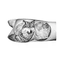 a wolf surrounded by an eye, a moon, mountains, owl wings tattoo design idea