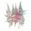 Red cedar branches, sword fern, and salal boquet tattoo design idea