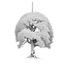 a tree is split by a thick line. left half of the tree is a sycamore, the right half of the tree is a southern live oak tattoo design idea