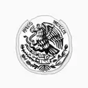 Mexican Flag emblem tattoo design idea