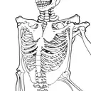 full body skeleton tattoo design idea