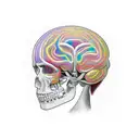 3 espadas corazón y cerebro  tattoo design idea