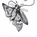 a moth on a leaf tattoo design idea