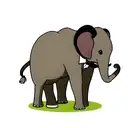 Elephant tattoo design idea