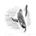 humpback whale irish celtic tattoo design idea