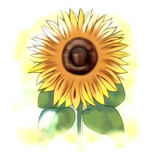 Sunflower tattoo design idea