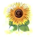 Sunflower tattoo design idea