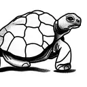 Galapagos Tortoise  tattoo design idea