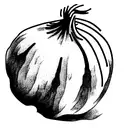 Onion tattoo design idea