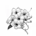 plumeria tattoo design idea
