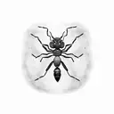 ant tattoo design idea