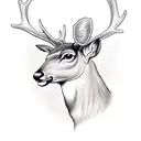 deer with rays of sunshine outlining tattoo design idea