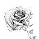 Roses and audi tattoo design idea