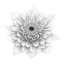 Chrysanthemum tattoo design idea