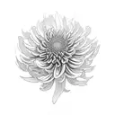 Chrysanthemum tattoo design idea