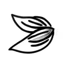 Lavender and Grape tattoo design idea