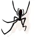 Spider tattoo design idea