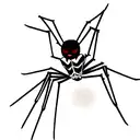 Spider tattoo design idea