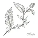 celosia cristata tattoo design idea