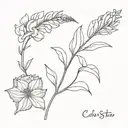 celosia cristata tattoo design idea