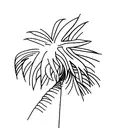 Palm Tree, Table Mountain tattoo design idea