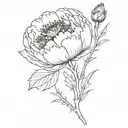 peony and thistle  tattoo design idea