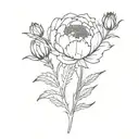 peony and thistle  tattoo design idea