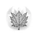 half Maple leaf half Uruguayan sun  tattoo design idea