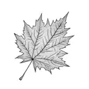 half Maple leaf half sun tattoo design idea