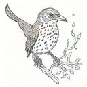 Song thrush bird, sparrow flying jack sparrow  tattoo design idea