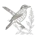 Song thrush bird, sparrow flying jack sparrow  tattoo design idea