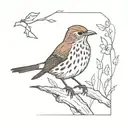 Song thrush bird, sparrow flying jack sparrow  tattoo design idea