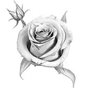 three roses tattoo design idea