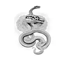Snake half skeleton half normal tattoo design idea