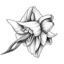 daffodil tattoo design idea
