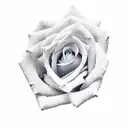 Rose tattoo design idea