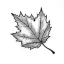 Maple Leaf tattoo design idea