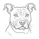 pit bull with clipped ears outline tattoo design idea