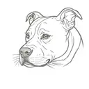 pit bull with clipped ears outline tattoo design idea