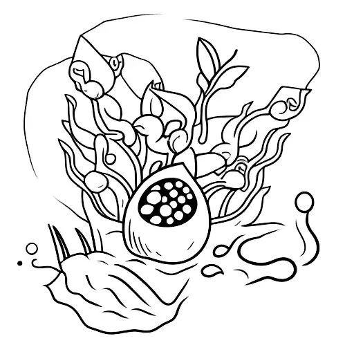 A rhipidomys mastacalis inside of a theobroma cocoa fruit tattoo design idea