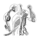 Muscle anatomy diagram tattoo design idea