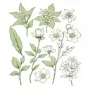 A bouquet of lily of the valley, chrysanthemum, waterlily, morning glory, cosmos,and daisies. tattoo design idea