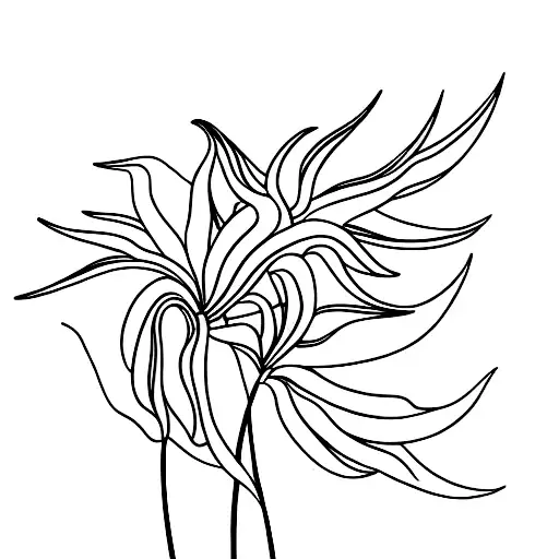 Bird of Paradise tattoo design idea