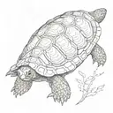 Only Tortoise shell from bird eye view tattoo design idea