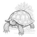Only Tortoise shell from bird eye view tattoo design idea