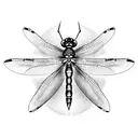 dainty dragonfly fineline simplistic  tattoo design idea