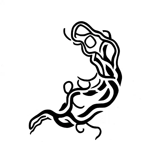 snake vines and pomegranates  tattoo design idea