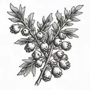 Juniper branch with berries tattoo design idea